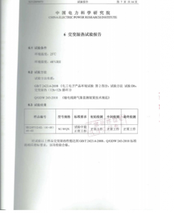 產(chǎn)品檢驗(yàn)報(bào)告