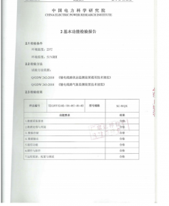 產(chǎn)品檢驗(yàn)報(bào)告