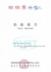 產(chǎn)品檢驗(yàn)報(bào)告