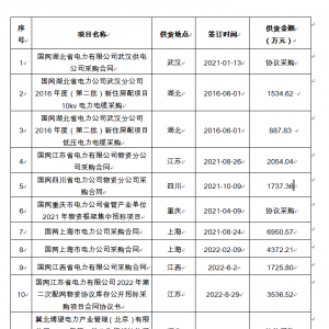 國(guó)網(wǎng)中標(biāo)